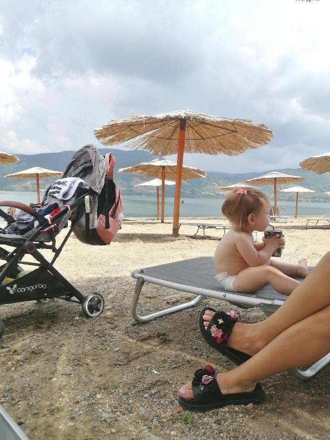 Nikas Apartman Donji Milanovac Exteriér fotografie