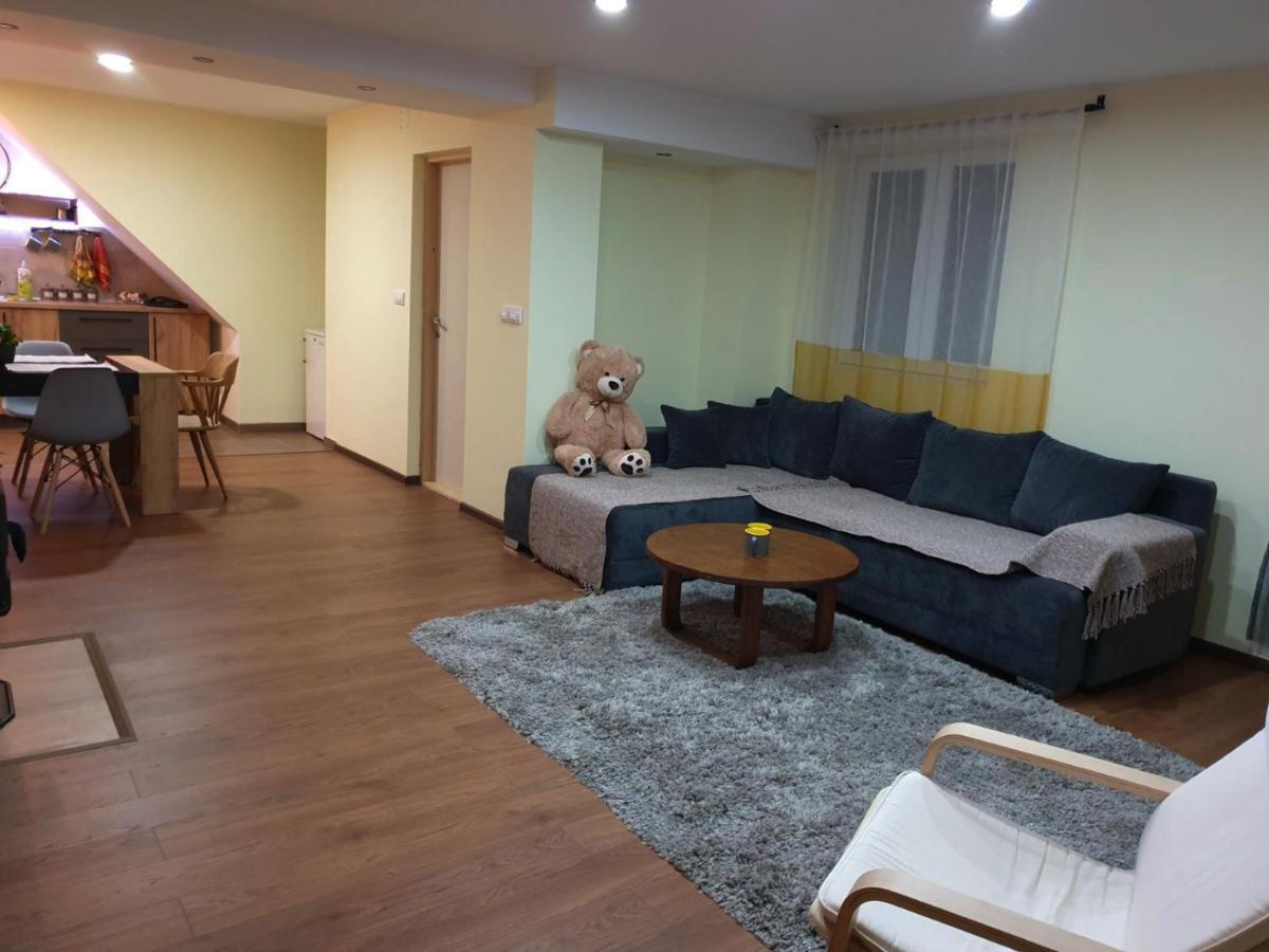 Nikas Apartman Donji Milanovac Exteriér fotografie