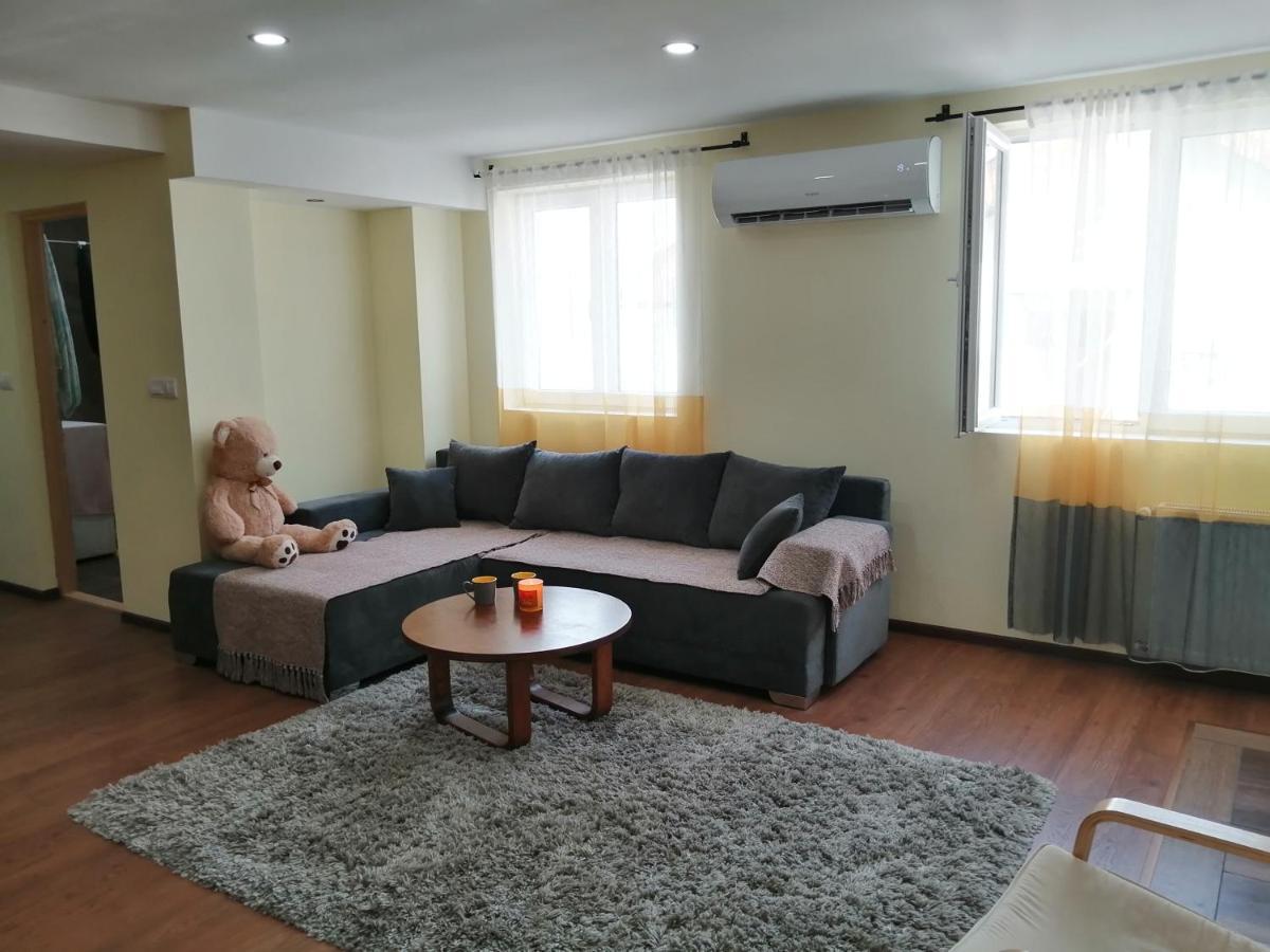Nikas Apartman Donji Milanovac Exteriér fotografie